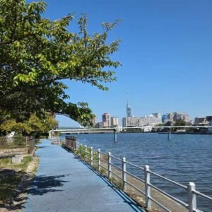 微信图片_20251011122053_110_280 Sweet chair