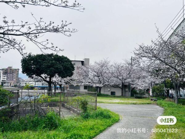 微信图片_20251016140657_285_96 Daily chair