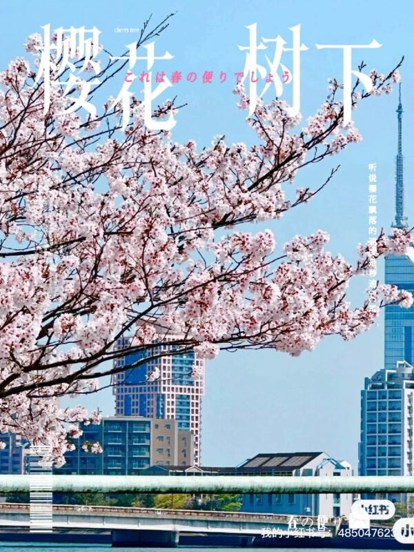 微信图片_20251016140712_293_96 Modern Sofa